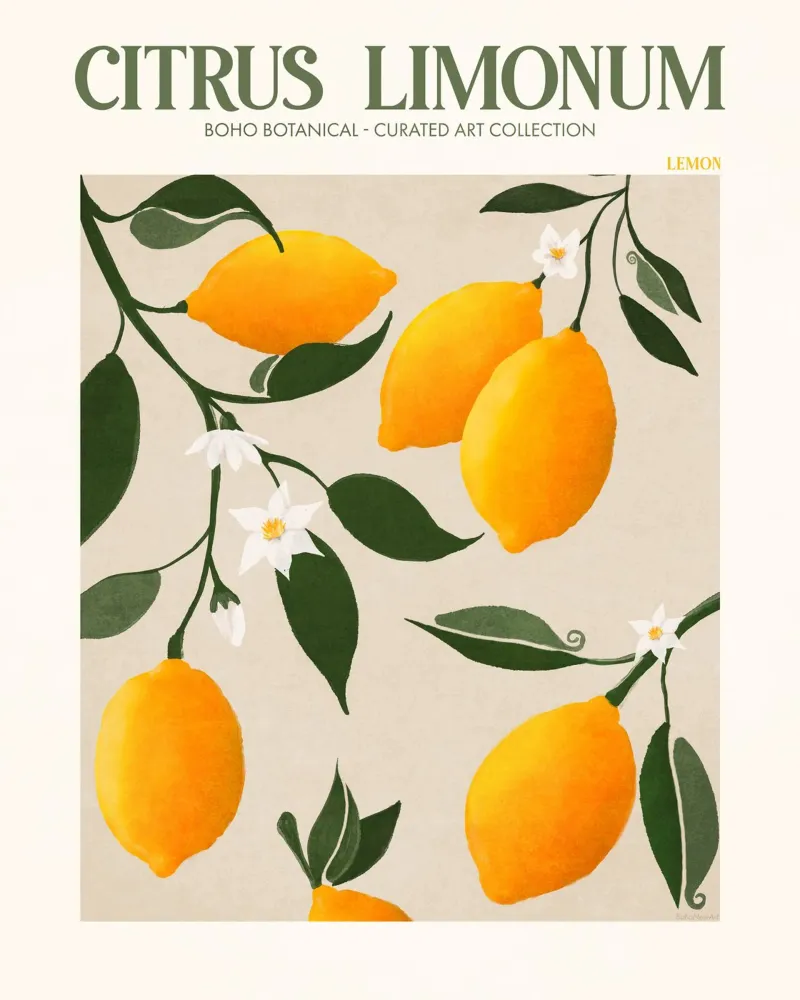 Citrus Limonum - Zitrone Alu-Dibond von Emel Tunaboylu