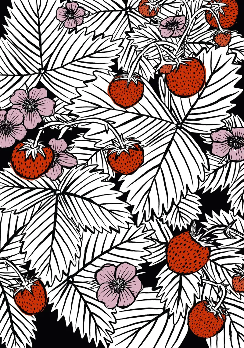 Erdbeeren pellicola backlit da modeern