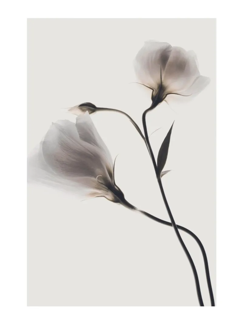 Arte floreale delicata - Motivo floreale minimalista carta hahnemühle da Whole©