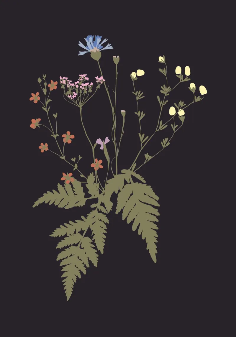 Wildflowers pannello forex da modeern