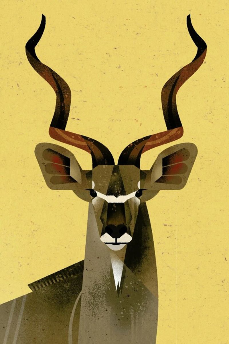 Großer Kudu Poster von Dieter Braun