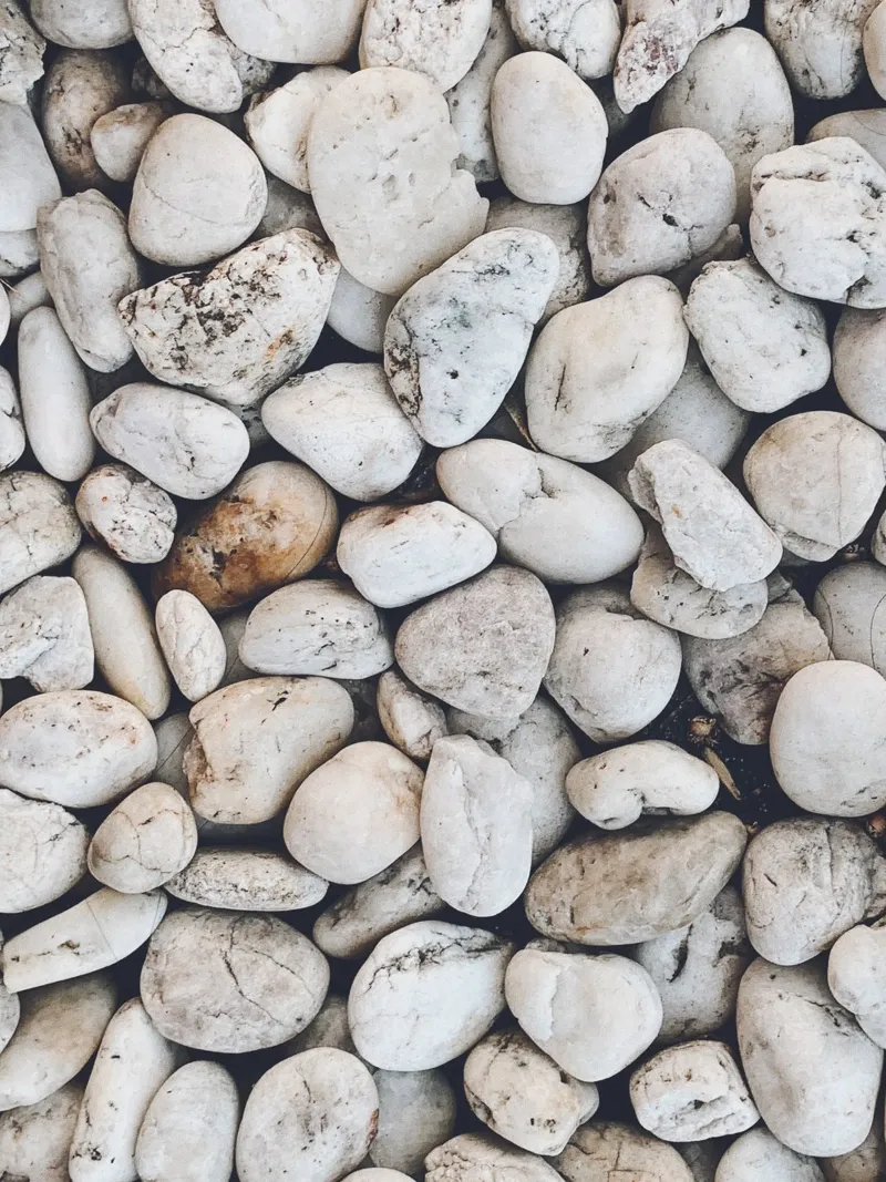 Natural pebble design - Minimalist stone pattern canvas by Whole©
