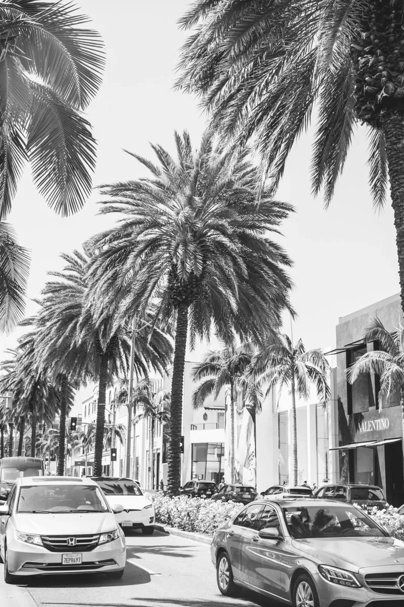 Rodeo Drive LA poster da patiphotography