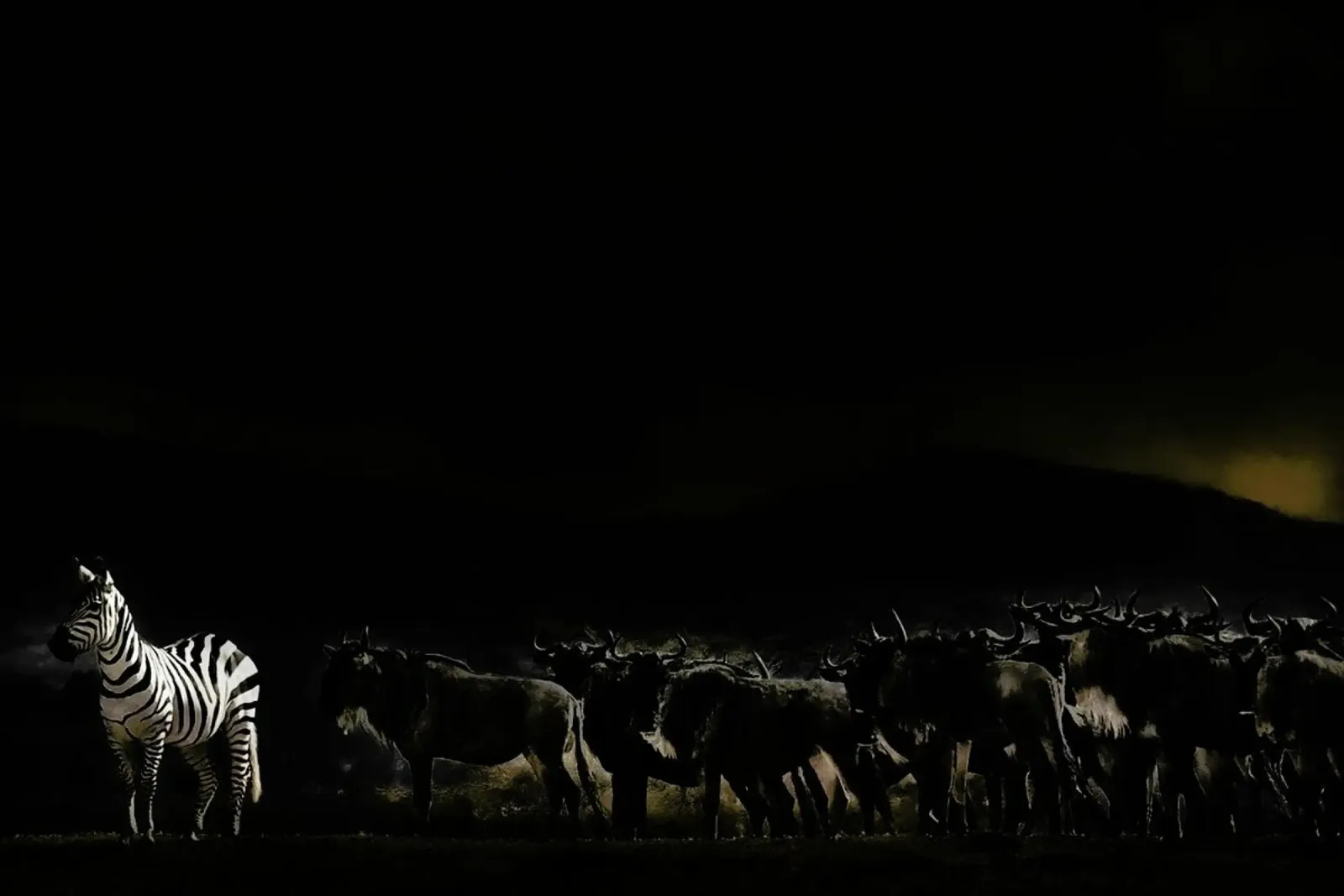 An Evening in Kenya - Piet Flour poster con telaio in alluminio da Pictufy
