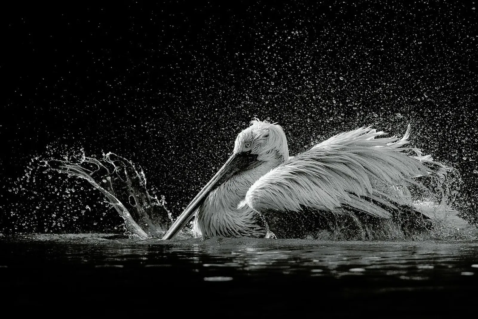 Splash - C.S. Tjandra plexiglass da Pictufy
