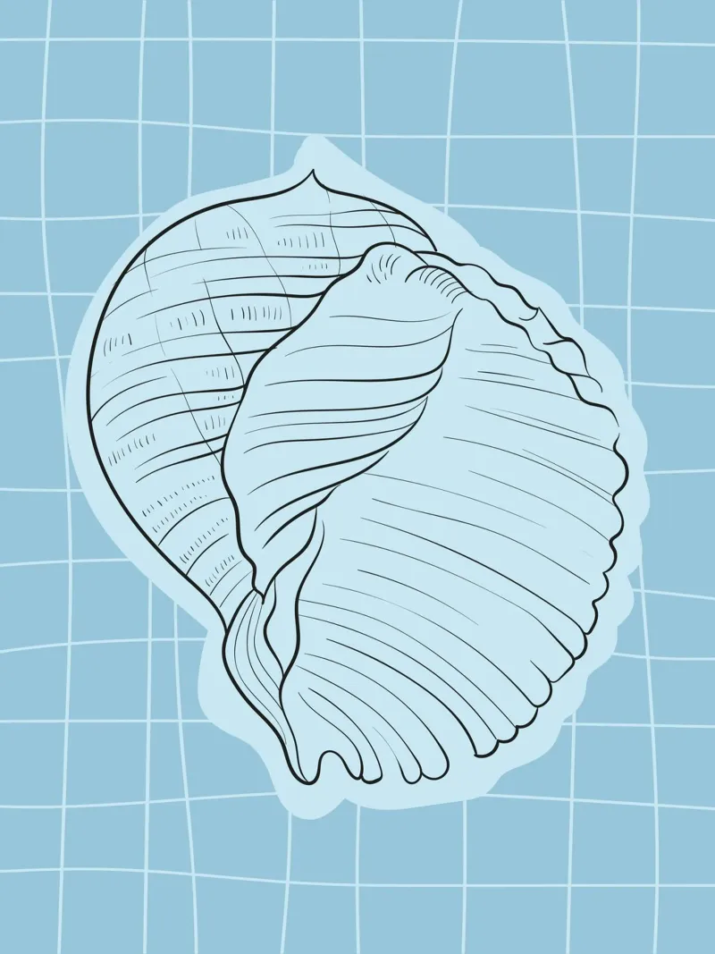 Seashell poster con telaio in alluminio da Artsy Bessy