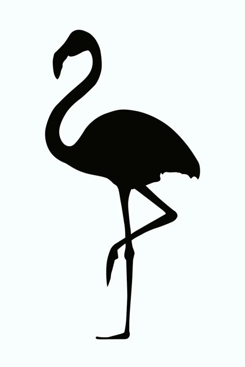 Flamingo pellicola backlit da Honeymoon Hotel