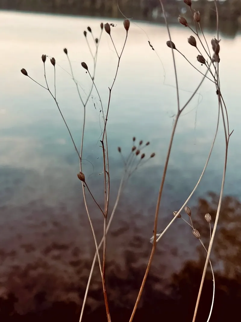 Uckermark canvas van SaraRosenbaum