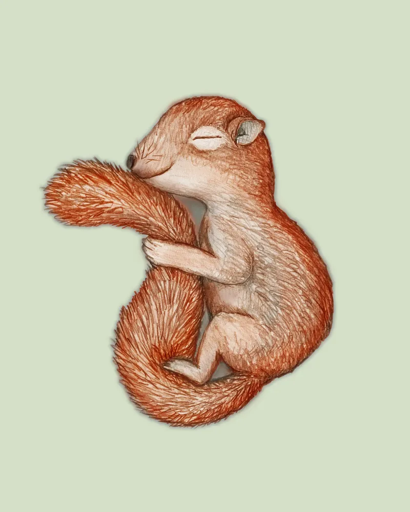 Hibernating squirrel hahnemühle by BwiseLizzy