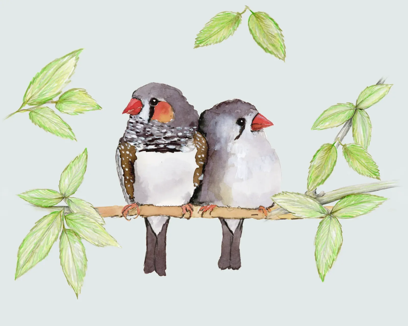Una dolce coppia di fringuelli zebrati poster con telaio in legno da BwiseLizzy