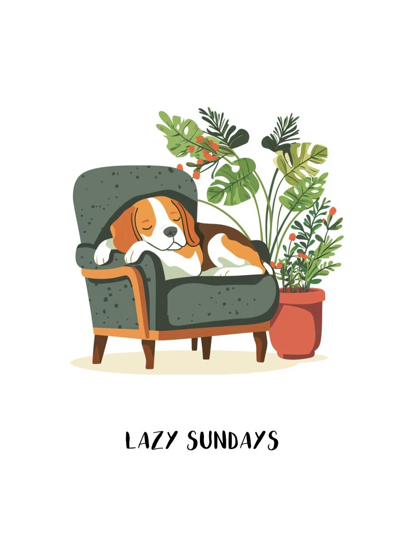 Lazy Sundays poster by Gift Ideas