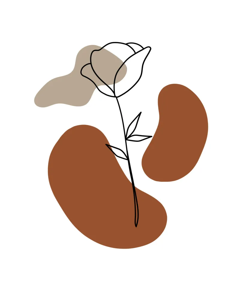 Rosa minimalista pellicola backlit da YSV MINIMALIST