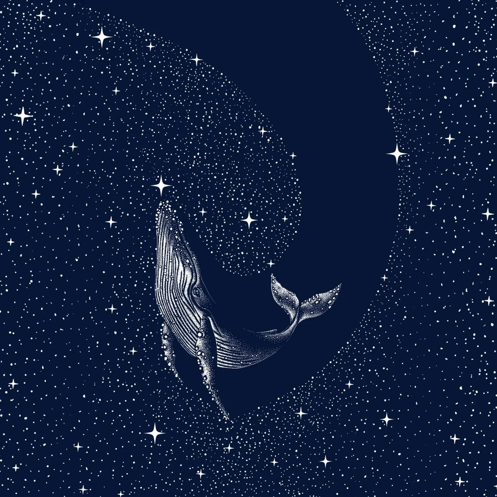 starry whale poster by aliriza cakir