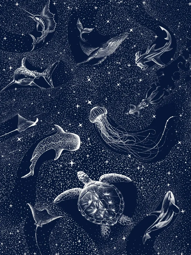 Oceano cosmico plexiglass da aliriza cakir