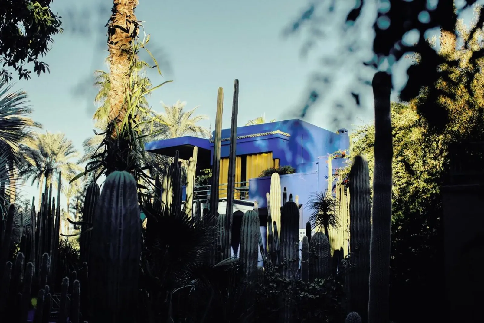 Marrakesh Paradise 12 pellicola backlit da Paul Aidan Perry