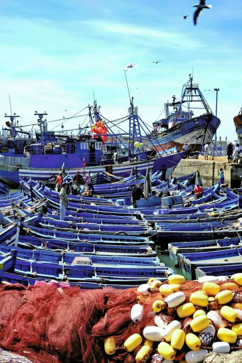 Essaouira aluminio dibond de anderm