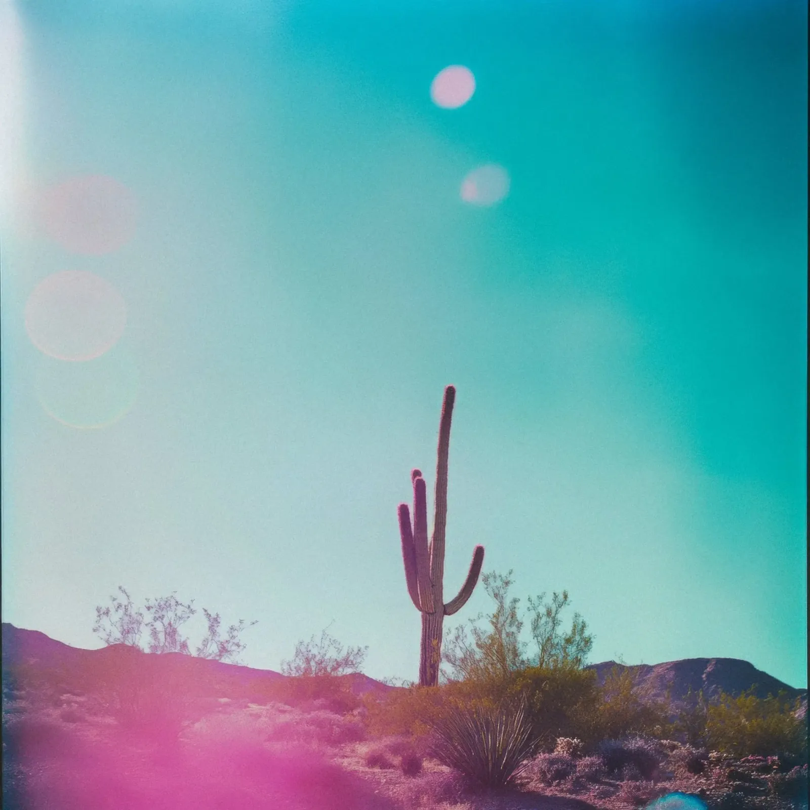 45 pellicola backlit da Pink California | Affiches & Posters