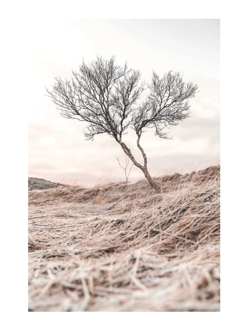 Lone tree - Minimalist nature art for quiet rooms poster by Whole©