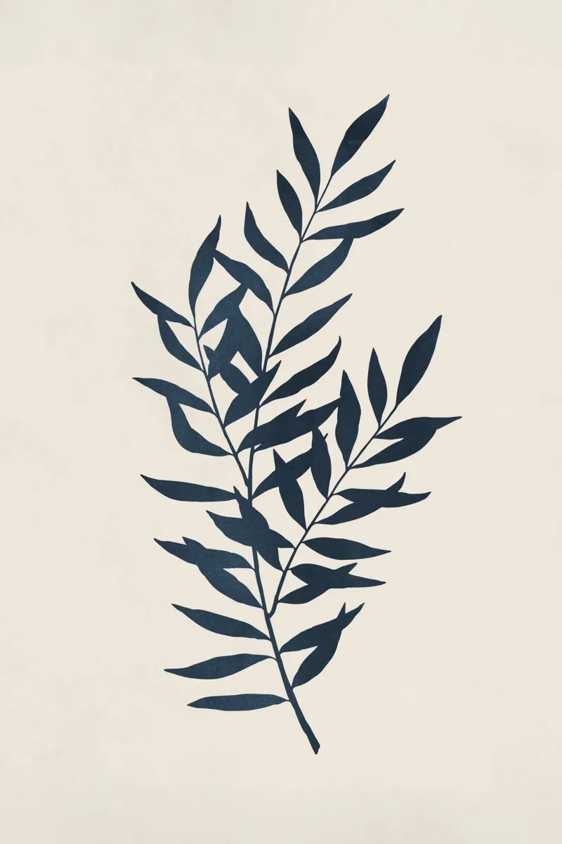 Silhouette botanica I carta hahnemühle da Kathrin Pienaar