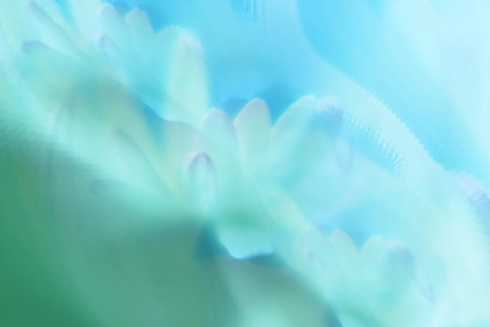 Piccolo fiore bianco sfocato artisticamente pellicola backlit da Something for you