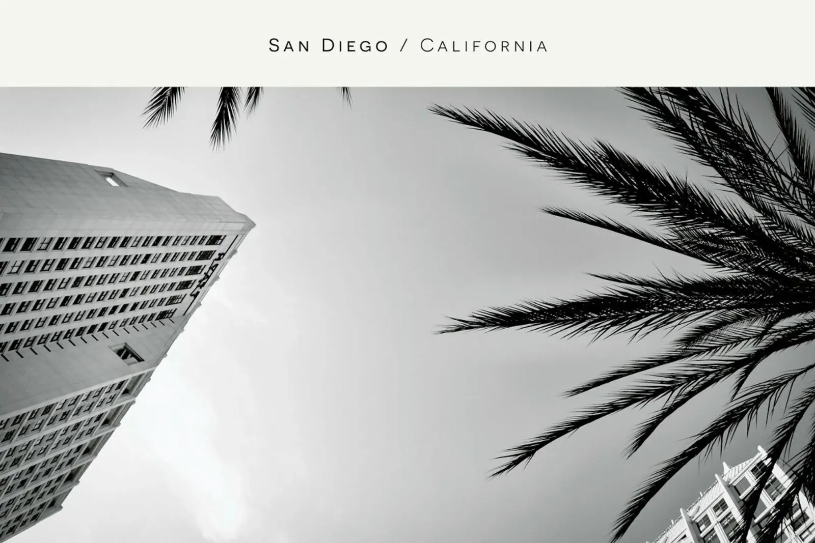 San Diego B&W pellicola backlit da In Full Color