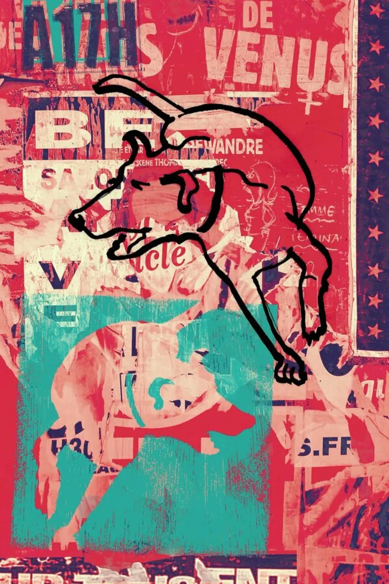 Dog alu-dibond by Andy Bridge