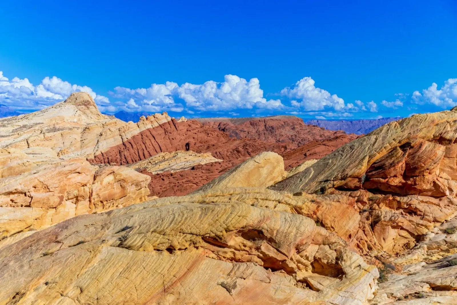 Valley of Fire State Park, Nevada, USA backlit film by anderm