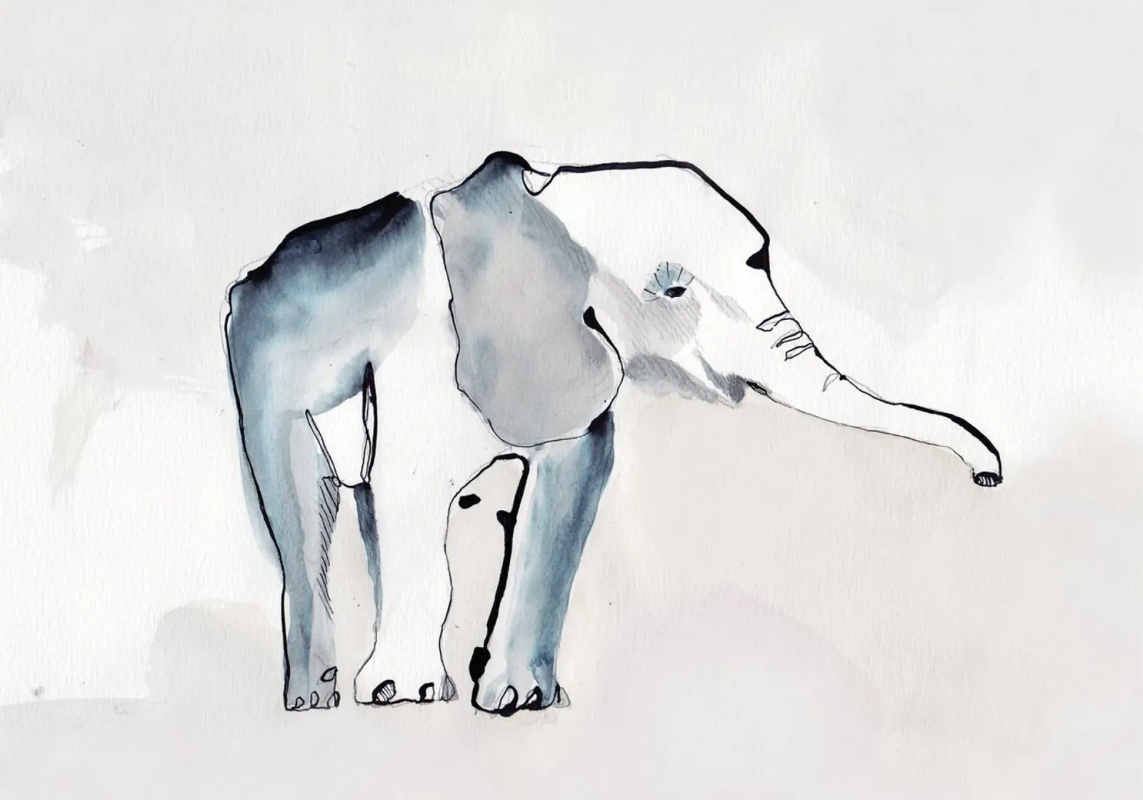 Elephant poster with aluminum frame by Petit Boom Prints