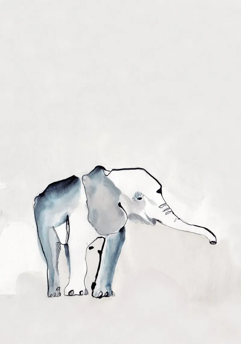 Elefante pellicola backlit da Petit Boom Prints