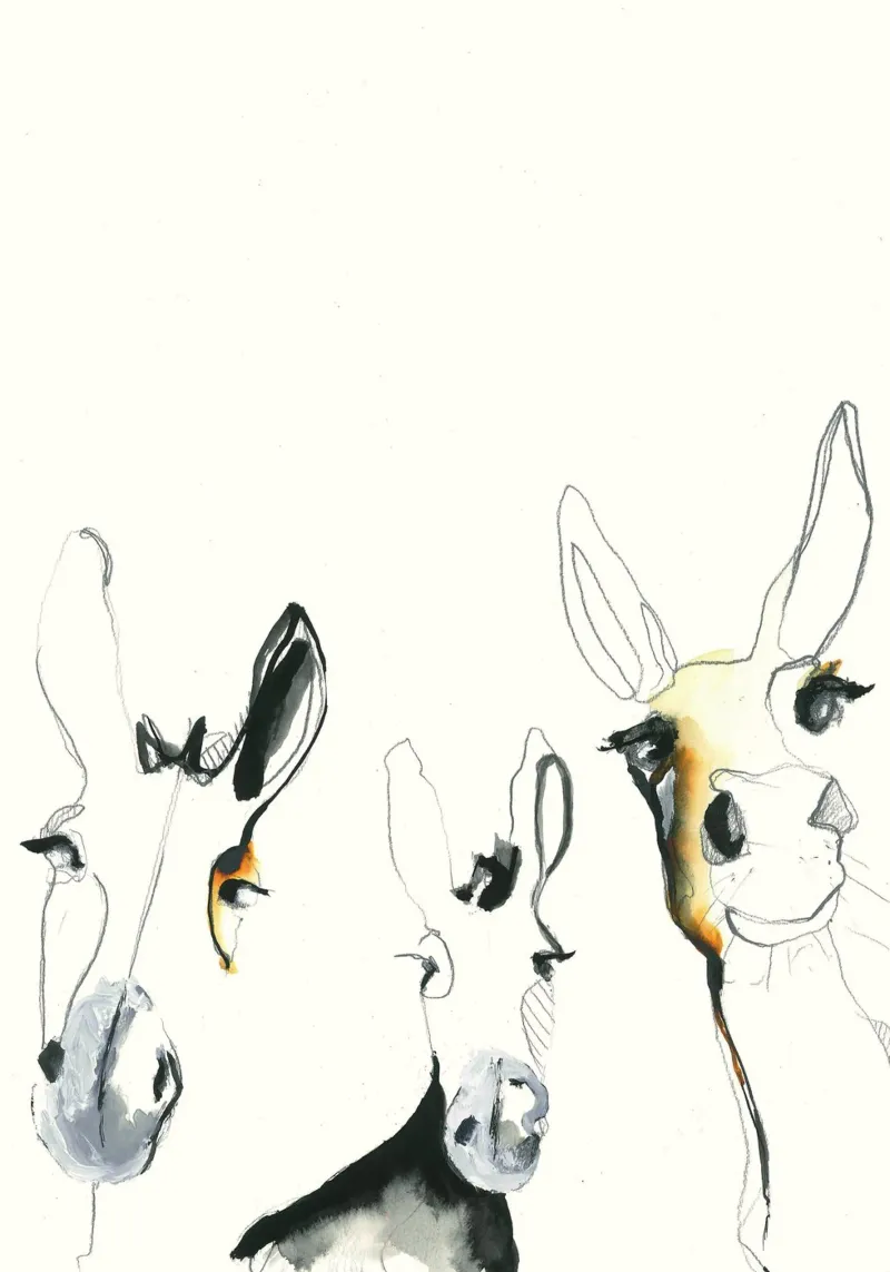 tre asini poster con telaio in alluminio da Petit Boom Prints