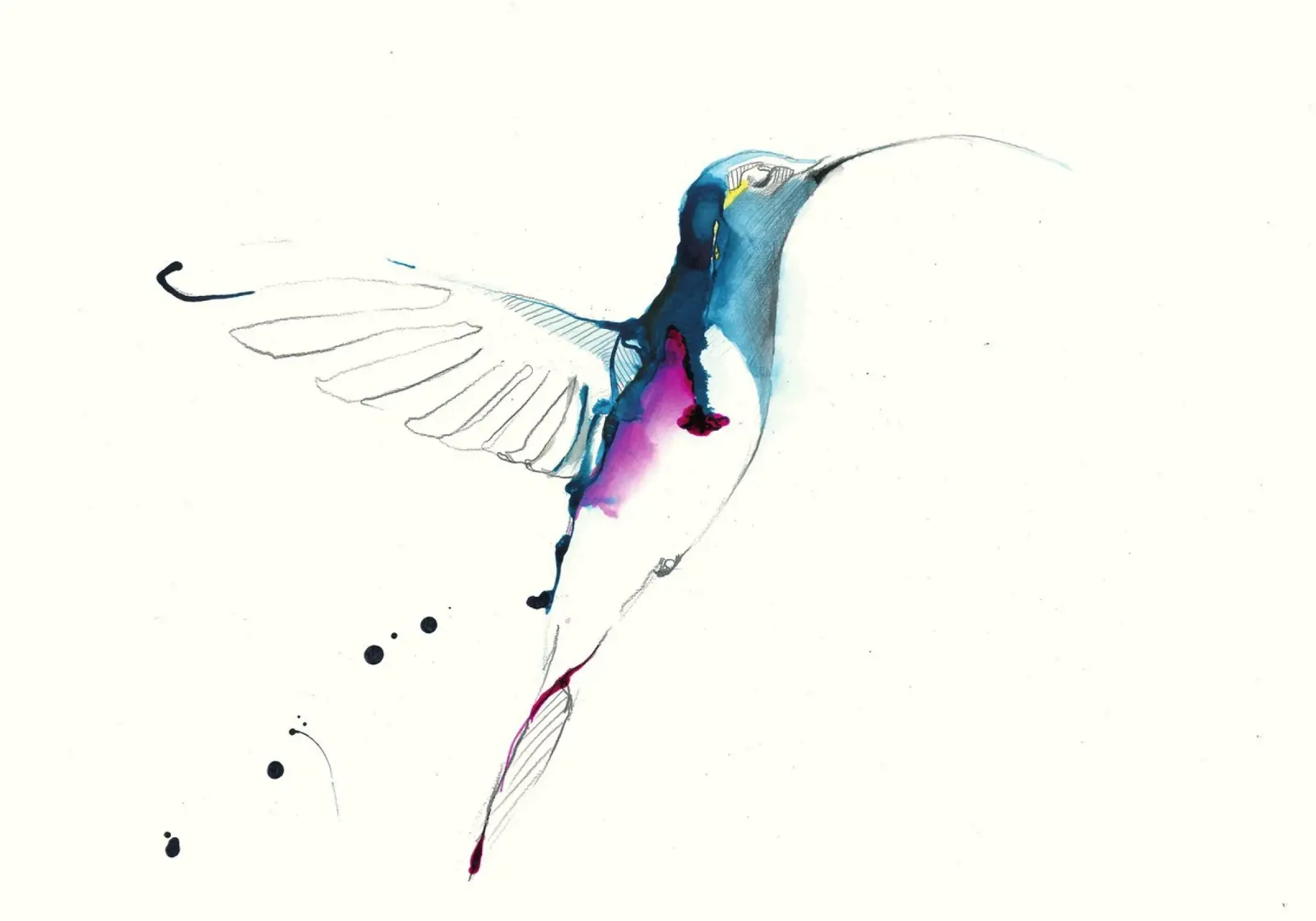 colibrì alluminio dibond da Petit Boom Prints