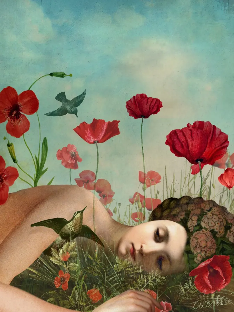 In the Poppyfield plexiglass da Catrin Welz-Stein