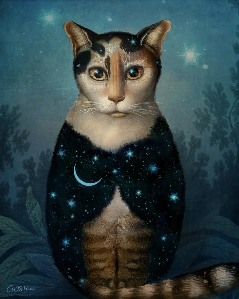 Midnight Cat pellicola backlit da Catrin Welz-Stein