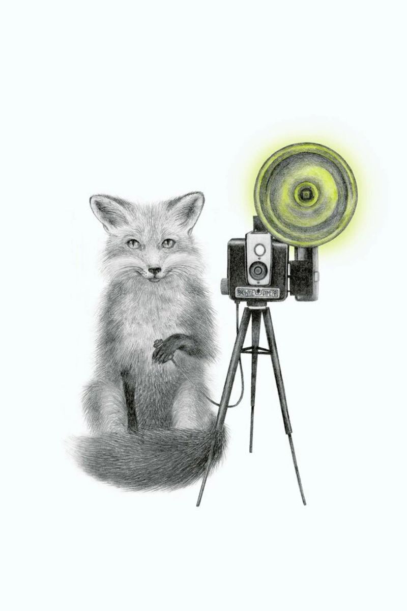 Quinn Bancroft Fox pellicola backlit da Le Canot Rouge