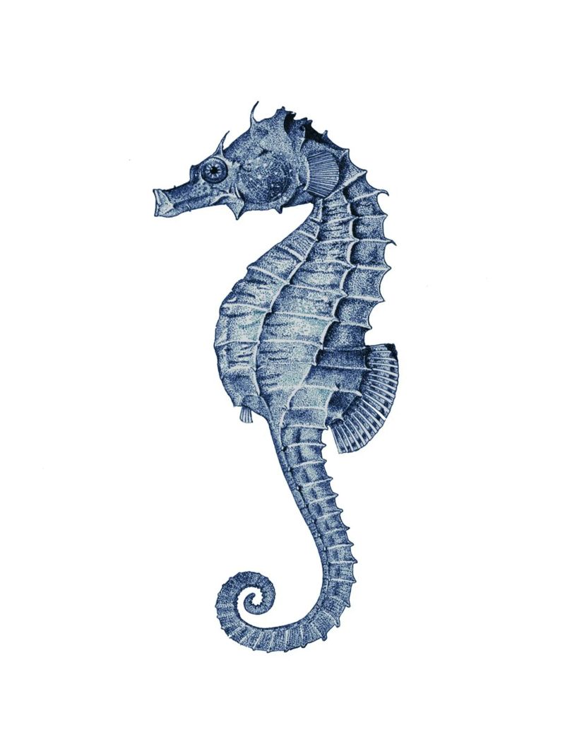 Vintage Navy Seahorse – Coastal Art for Beach House poster by Studio Vintage