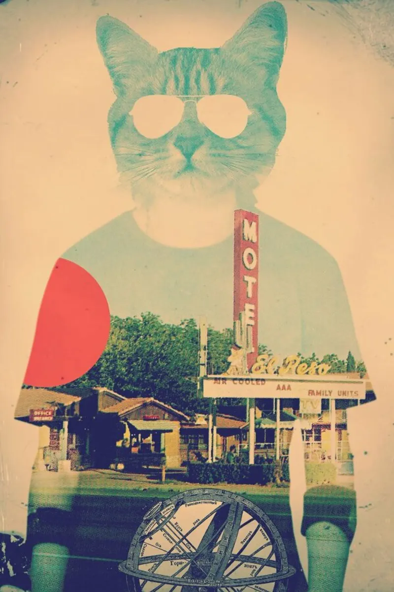 Cool Cat poster con telaio in alluminio da Ali Gulec