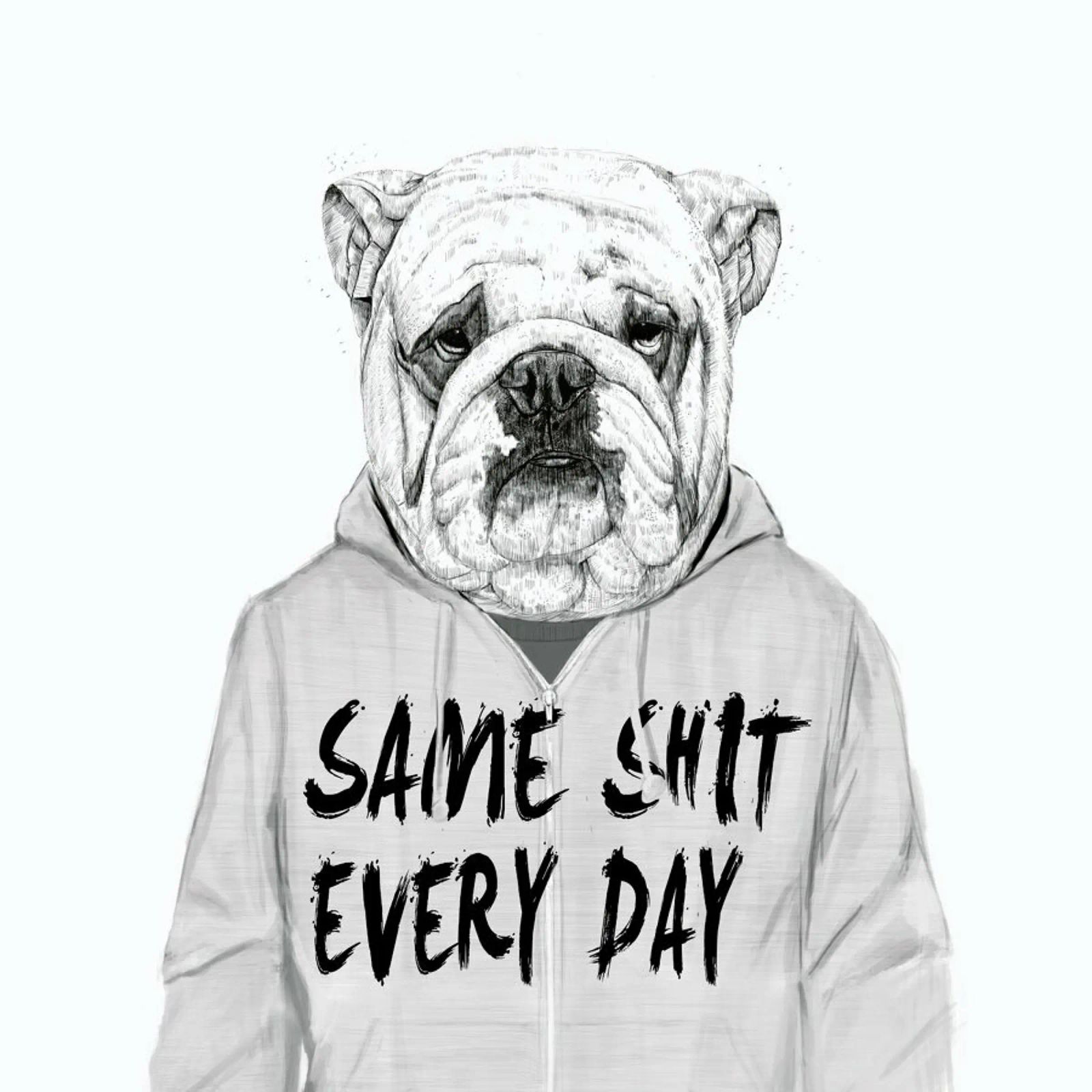 Same shit every day metacrilato de Balazs Solti