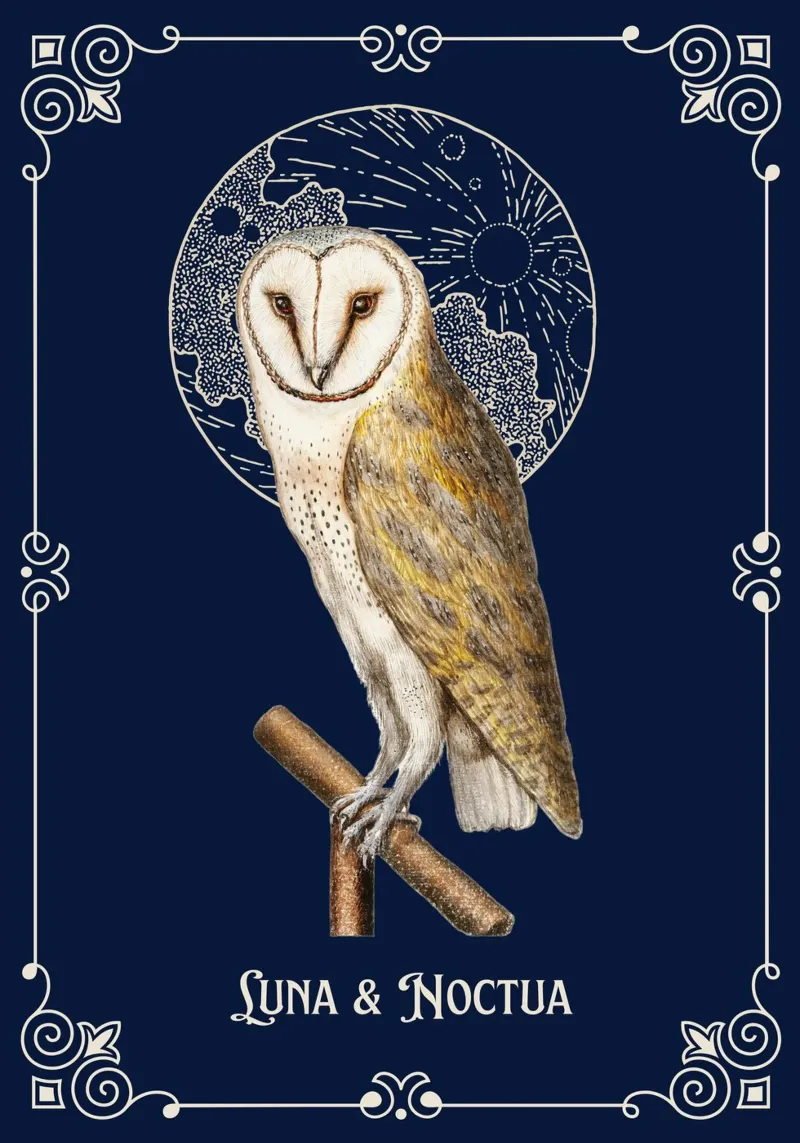 Magia dei gufi poster con telaio in plastica da Luna & Noctua