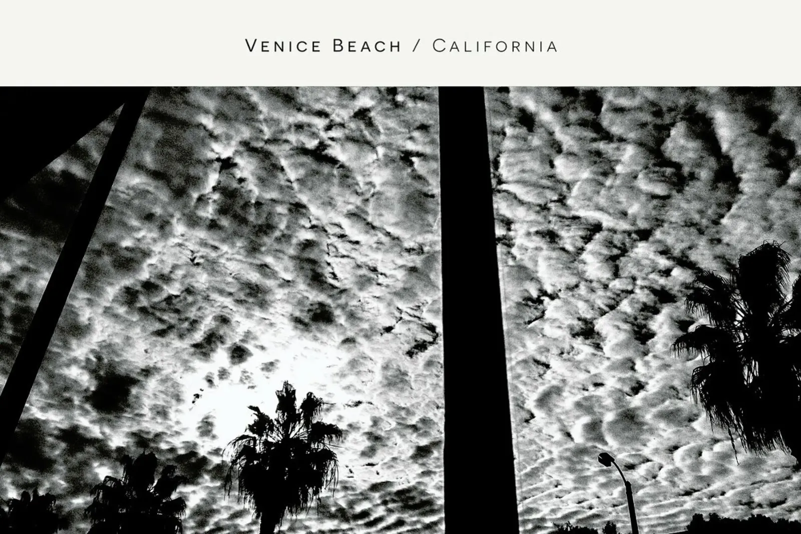 Venice Beach B&W pellicola backlit da In Full Color