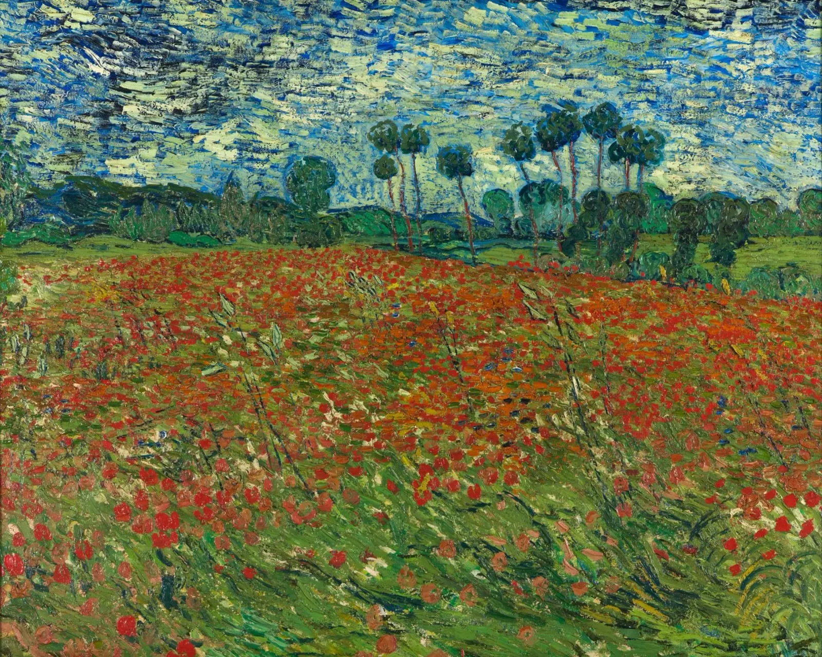 Vincent van Gogh - Mohnfeld, 1890 Leinwand von Timeless Artworks