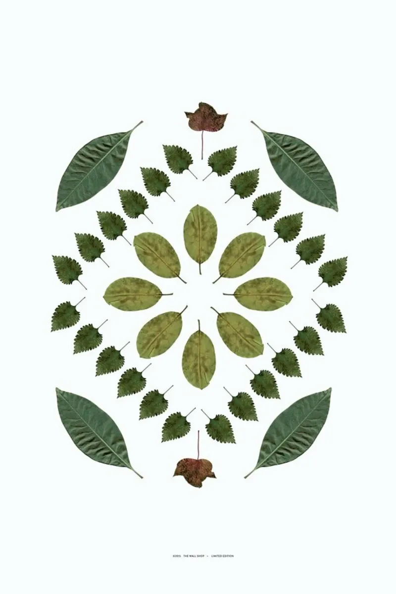 Botanicals 2 pellicola backlit da The Wall Shop