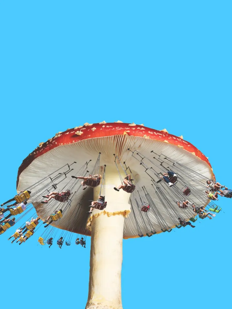 Carosello Amanita carta hahnemühle da 360brain