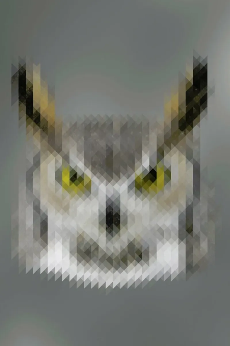 Owl pellicola backlit da Nur Mut