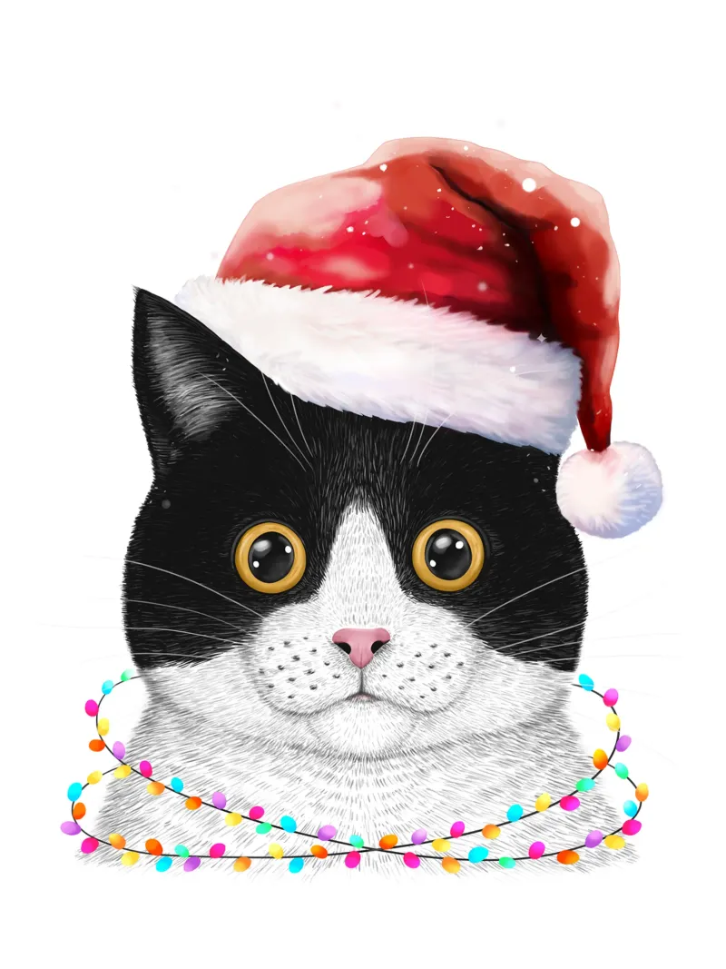 Santa cat poster con telaio in alluminio da valeriyakorenkova