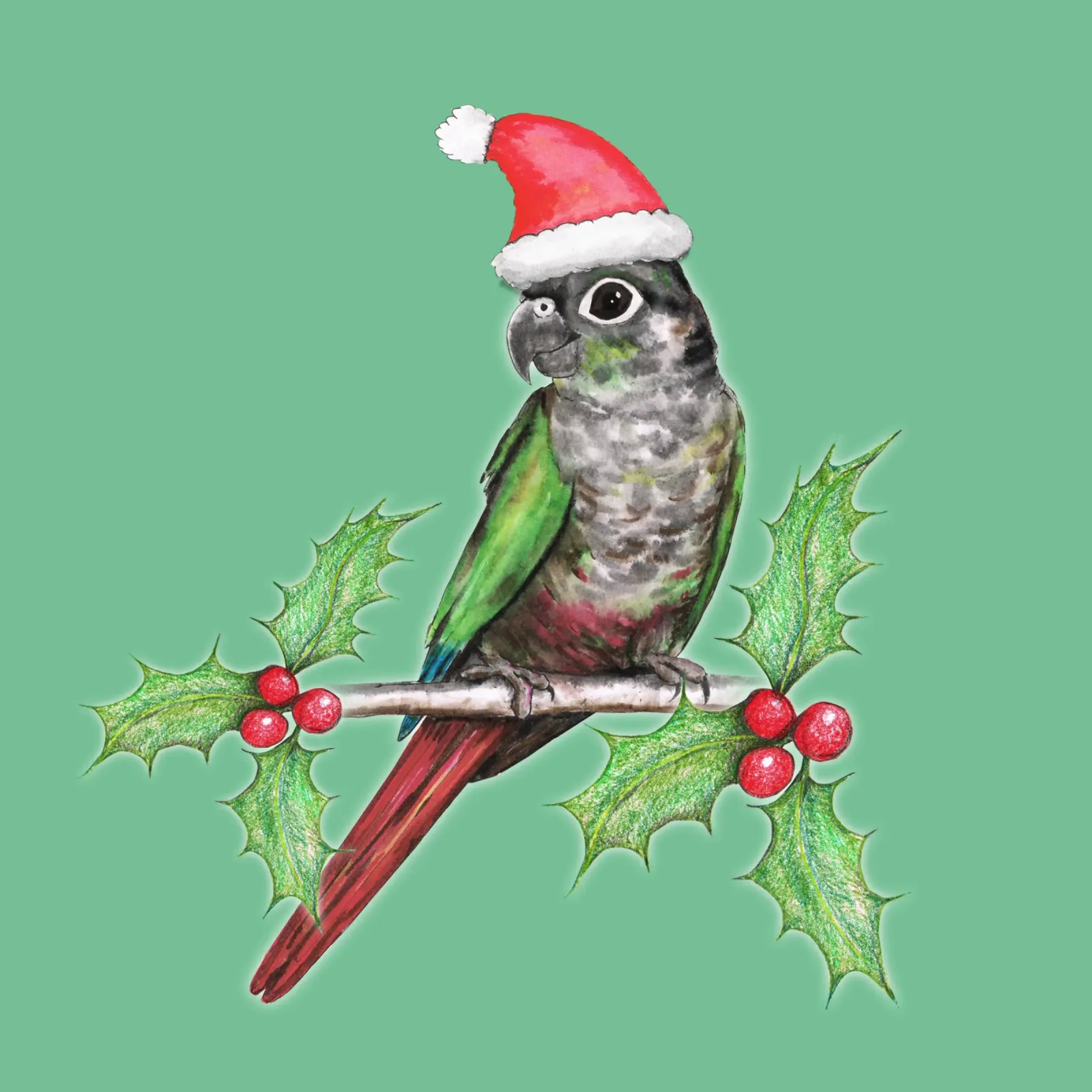Conure de mejillas verdes de Navidad lienzo con Marco flotante de BwiseLizzy