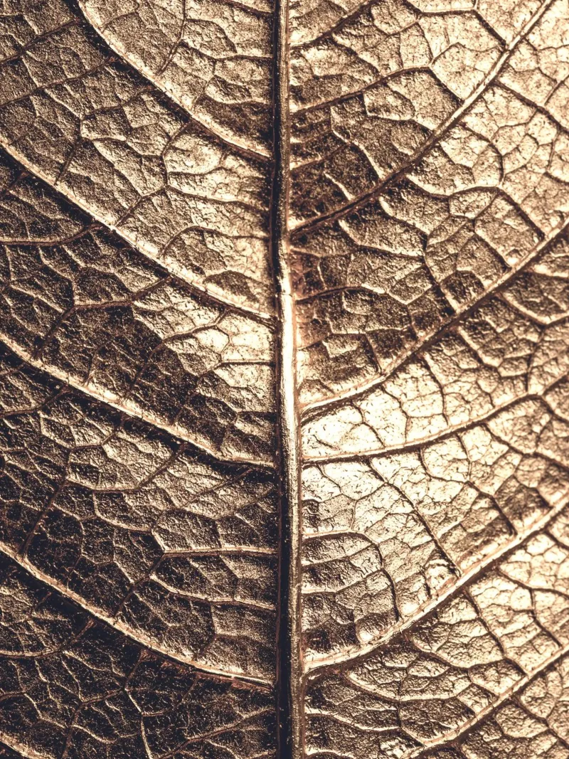 Foglia d'oro - texture naturale dall'aspetto metallico pellicola backlit da Whole©