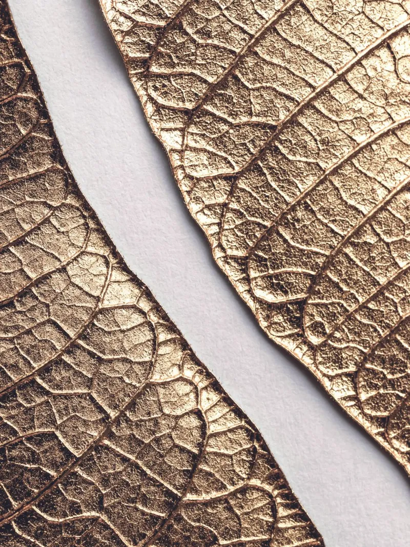Golden leaf texture - nature in metallic look canvas with Floater frame by Whole©