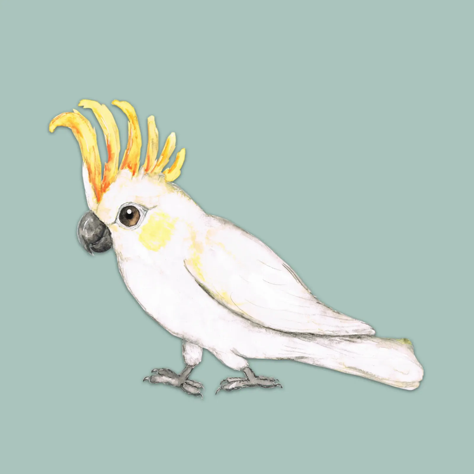 Cacatua dalle creste di zolfo poster da BwiseLizzy