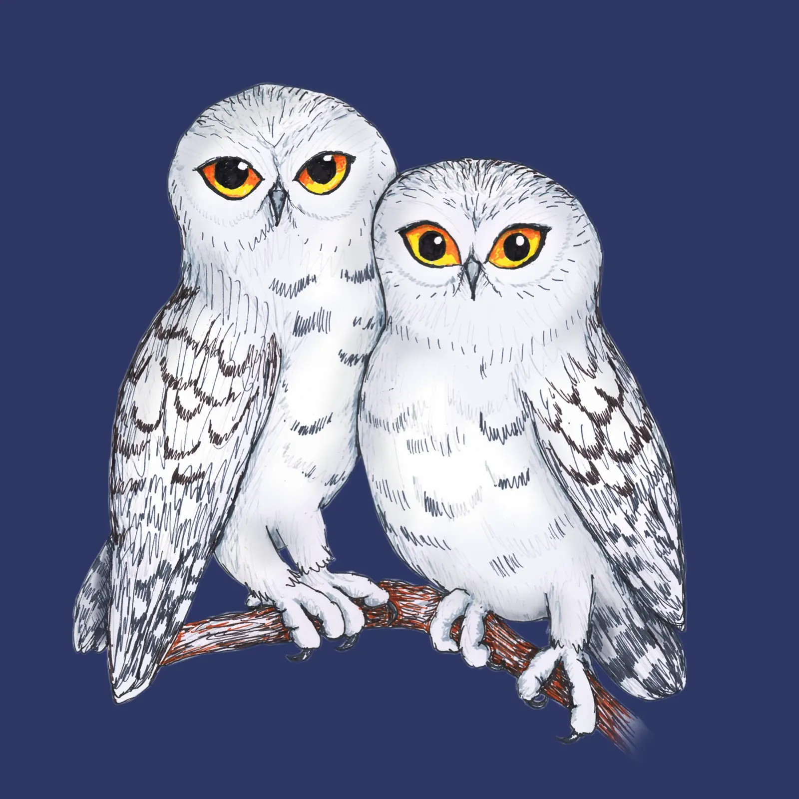 Twee mooie sneeuwuilen canvas met Baklijst van BwiseLizzy