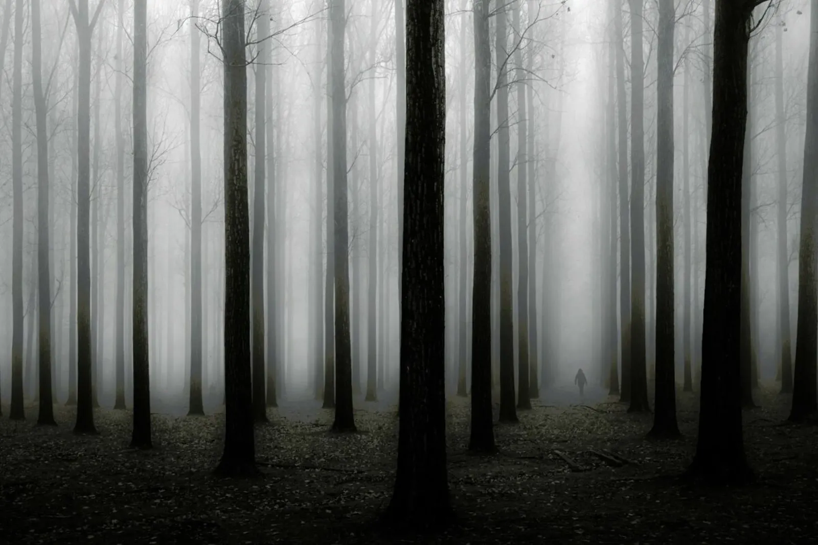 In a fog - Jochen Bongaerts pannello forex da Pictufy